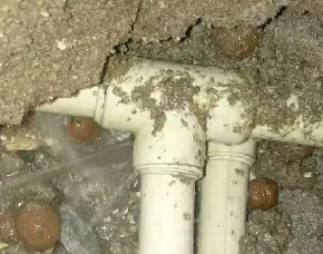 沙依巴克测漏水多少钱