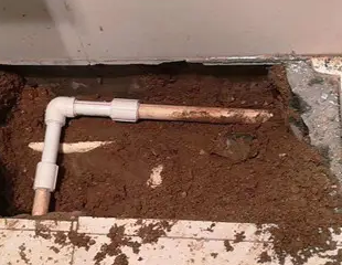 沙依巴克测漏水哪家好