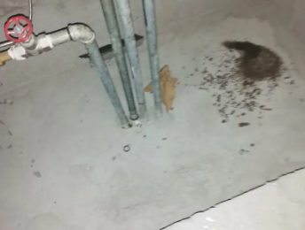 沙依巴克卫生间测漏水价格明细