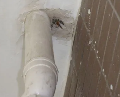 沙依巴克漏水检测哪家好